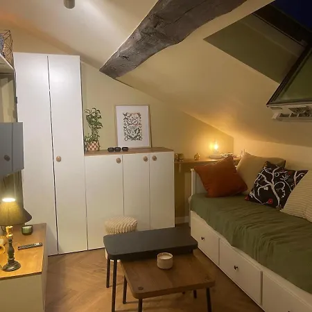 En Plein Coeur D'angers Apartment Angers